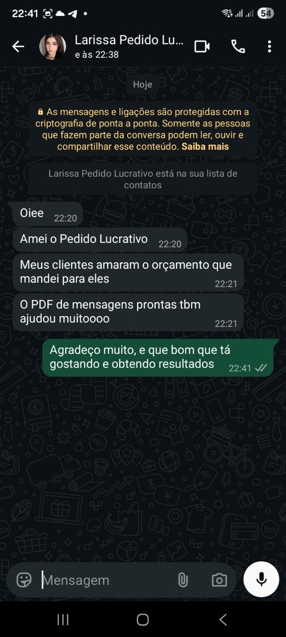 Conversa no WhatsApp com o depoimento de Larissa sobre o Pedido Lucrativo